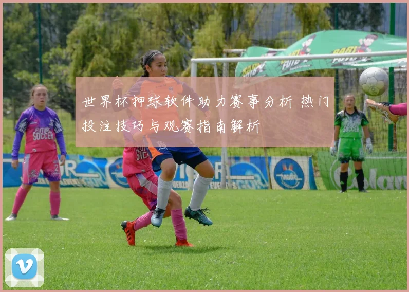 世界杯押球软件助力赛事分析 热门投注技巧与观赛指南解析