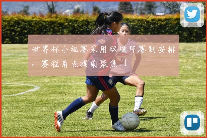 世界杯小组赛采用双循环赛制安排,赛程看点提前聚焦_1