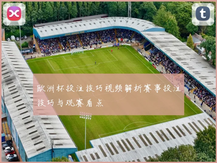 欧洲杯投注技巧视频解析赛事投注技巧与观赛看点