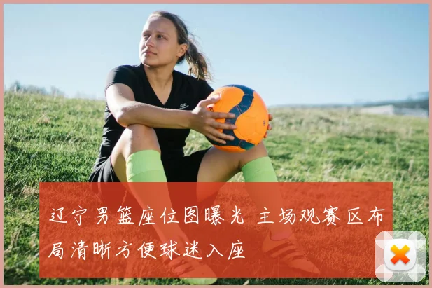 辽宁男篮座位图曝光 主场观赛区布局清晰方便球迷入座